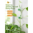 thumbnail image 5 of PPgejGEK 10-Pack Green Climbing Wall Fixer Climbing Clip Non-Marking Adhesive Hooks Strong Plant Support for Ivy Roses Vines Does Not Hurt Walls Indoor Outdoor Use, 5 of 9