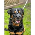 thumbnail image 4 of STRONG Wire Metal muzzle Basket Dog Muzzle Rottweiler,Mastiff Golden Retriever & other (R1, Black/Black Leather), 4 of 5