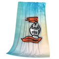 Heidelberg University Logo Queen Blanket Lightweight Blanket For Bed