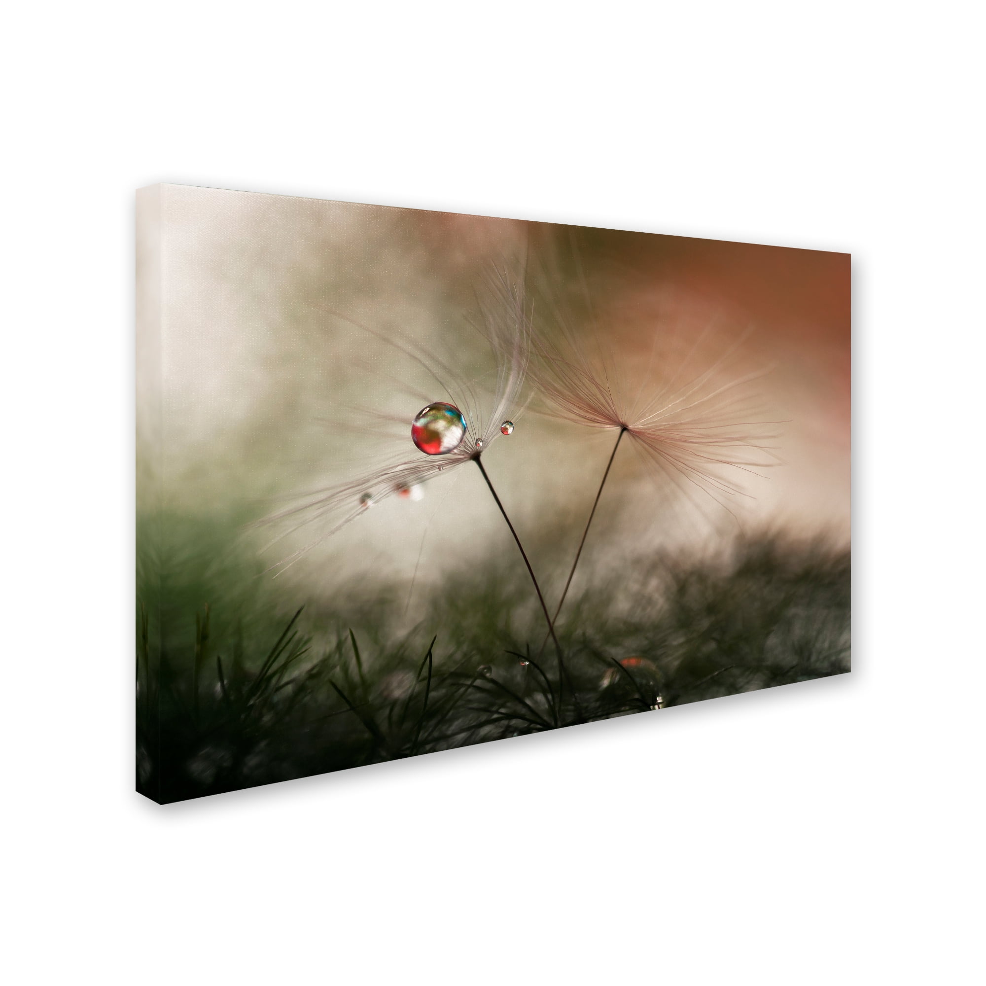 Trademark Fine Art 'With And Without' Canvas Art by Heidi Westum