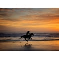 thumbnail image 2 of PHBurchett  24x19 White Modern Wood Framed Museum Art Print Titled - Sunkissed Horses IV, 2 of 4