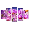 thumbnail image 1 of Juego de Cuadros Decorativos, Orquídeas Rosadas Exóticas, Estilo Lujoso y Vibrante, 5 Piezas, Ideal para Salas y Salones de Belleza, 150x80cm, 1 of 5