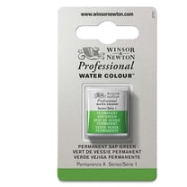Winsor & Newton Professional Watercolor - Permanent Sap Green, Half Pan