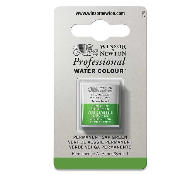 Winsor & Newton Professional Watercolor - Permanent Sap Green, Half Pan
