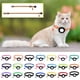 thumbnail image 1 of Xihbxyly Collar Reflectante, Colgante de Dirección con Película, Notificación de Alarma para Mayor Seguridad, Diseño Cómodo y Elástico, Seguimiento de Mascotas a Través Del Móvil, Perfecto para Masco, 1 of 2