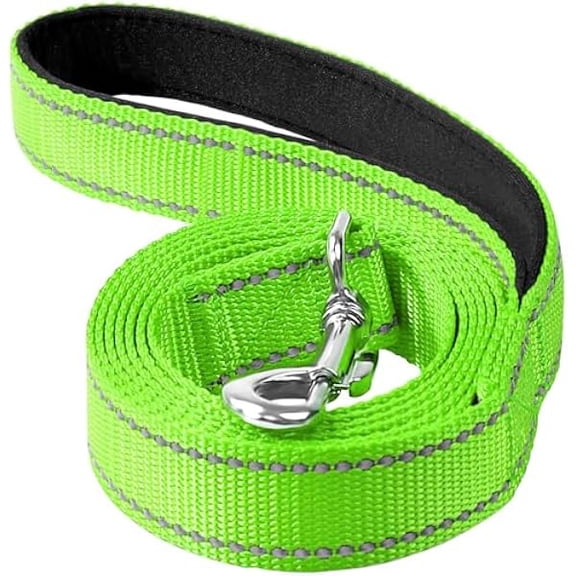 Eryueer Reflective Dog Leash 4ft Soft Padded Handle Nylon Lead for Small & Medium Dogs, Durable Walking Training Leash for Night Safety (Green,1Inch Wide)