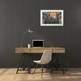 thumbnail image 3 of Looney, Hollice 24x17 White Modern Wood Framed Museum Art Print Titled - Austria-Vienna-Inner City (UNESCO World Heritage Site)-St Peters Church interior, 3 of 4