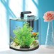 thumbnail image 1 of unbranded Adorno Para De Peces Con Planta De Artificial, 1 of 8