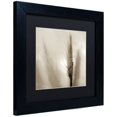 thumbnail image 2 of Trademark Fine Art "Florison 53" Canvas Art by Alan Blaustein, Black Matte, Black Frame, 2 of 4