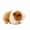 A, variant on Stuffed Hamster Plush Realistic Animal Toy, Super Soft Guinea Pig Plushie Cute Lifelike, Simulation Pet Doll for Decoration and Gifting