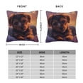 thumbnail image 2 of Fuzoiu Puppy Lying On A Cloud Print Square Pillow Cover,Hidden Zipper Design,Luxury Square Pillow Case, Throw Pillow,Couch Cushion-16"x16", 2 of 7