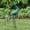 Peacock Metal Statues-34 Inch, variant on Crane Garden Metal Decor Statue - Large Standing Crane Statue, Metal Birds Yard Art Outdoor Sculpture, Heron Decoration Bird, Outdoor Backyard Decor, Patio, Porch, Lawn Ornament, Yard Decoration