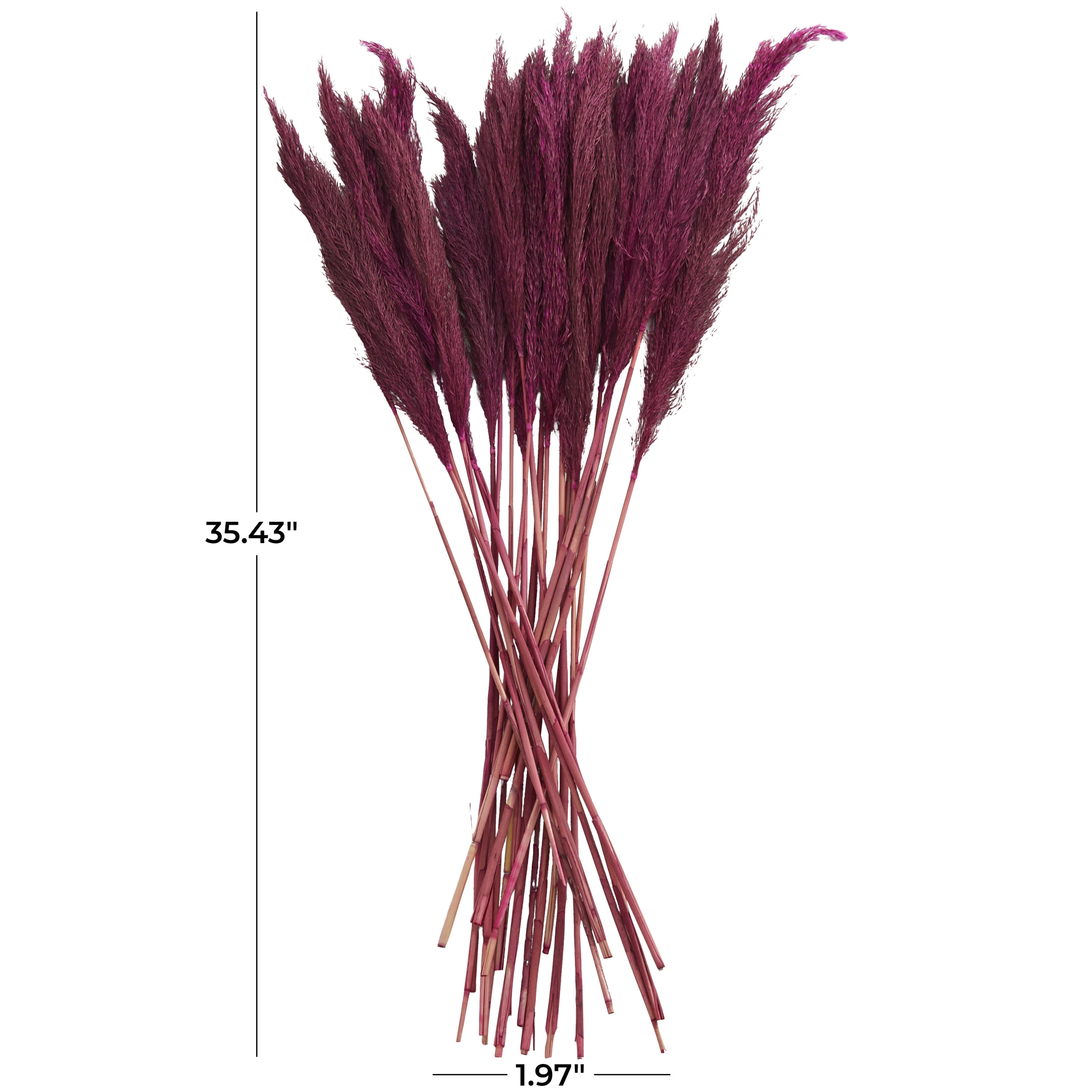 35" Dried Plant Natural Foliage Pampas Bouquet with Long Stems, by DecMode