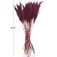 thumbnail image 3 of 35" Dried Plant Natural Foliage Pampas Bouquet with Long Stems, by DecMode, 3 of 8