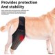 thumbnail image 3 of Hind Leg Protector Dog Leg Splint Protects Wounds and Sprains for Pet, 3 of 5