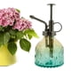 thumbnail image 1 of Botella Pulverizadora Plant Mister de Vidrio Vintage de 200 Ml, 1 of 6