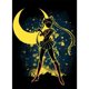thumbnail image 2 of Cuadros Decorativos Kits de bordado de hilo de algodón de 11 quilates con silueta de Sailor Moon Wdftyju embutido en tela, 2 of 9