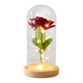 thumbnail image 3 of Cheapark Valentine's Day LED Night Light 3 Rose Glass Lampshade Ornament Battery Operated Soft Glow For Home Holiday Decor, 3 of 6