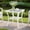 White, variant on MEETWARM Wicker Outdoor Side Table, All-Weather Patio Rattan Side Table with Tempered Glass Top and Storage Shelf, Small Patio End Table for Outside Indoor Poolside Deck Garden, Brown