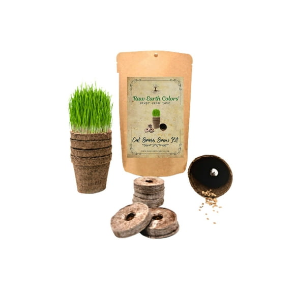 Cat Grass for Indoor Cats - Cat Grass Kit with Seeds!