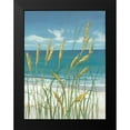thumbnail image 2 of OToole, Tim 19x24 Black Modern Framed Museum Art Print Titled - Summer Breeze II, 2 of 5