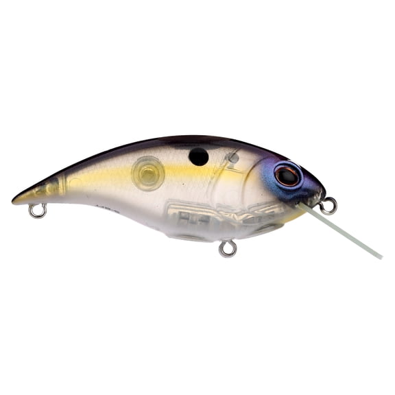 Berkley Shallow Money Badger Fishing Crankbait, 2.75 in, Hybrid Baitfish-Crayfish