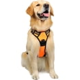 thumbnail image 2 of Rabbitgoo Arnés para Perros, Arnés para Mascotas Sin Tirones con 2 Clips para Correa, Chaleco Acolchado Suave Ajustable para Perros, Chaleco Oxford Reflectante para Mascotas sin Estrangulamiento con M, 2 of 4