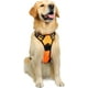 thumbnail image 2 of Rabbitgoo Arnés para Perros, Arnés para Mascotas Sin Tirones con 2 Clips para Correa, Chaleco Acolchado Suave Ajustable para Perros, Chaleco Oxford Reflectante para Mascotas sin Estrangulamiento con M, 2 of 4