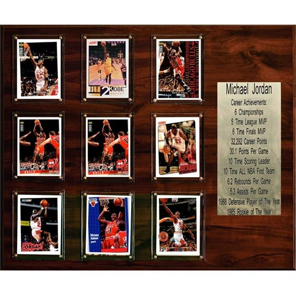 C & I Objets de Collection 1518JORDANST 15 x 18 Po NBA Michael Jordan Chicago Taureaux Carrière Stat Plaque