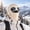 Beige, variant on Ribbed Knit Balaclava Beanie with Goggle-Style Eye Panels Stocking Knitted, Unisex Winter Ski Hat Built in Goggles Comfy Warm Outdoor Cycling Skiing Hiking Covers Head Neck Face