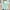 4-Green, variant on Sweaters for Women Plus Size Long Sleeve Crew Neck Pullover Clashing Colours Sweater Black S
