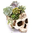 thumbnail image 1 of Halloween Decorations Party,Resin Skull Flower Pot Skull Succulent Flower Pot Personalized Flower Pot Decoration Halloween Skull Head Props,Flowers for Decoration, 1 of 3