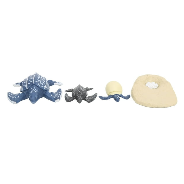 Simulation Animal Model Sea Life Animals Life Cycle Cognitive Model Kid Science Toy2425