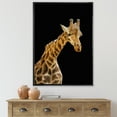thumbnail image 2 of Designart 'Portrait of A Giraffe On Black Background II' Farmhouse Framed Canvas Wall Art Print, 2 of 5