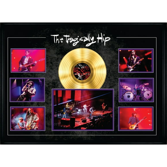 The Tragically Hip Framed Concert Collage with Gold LP