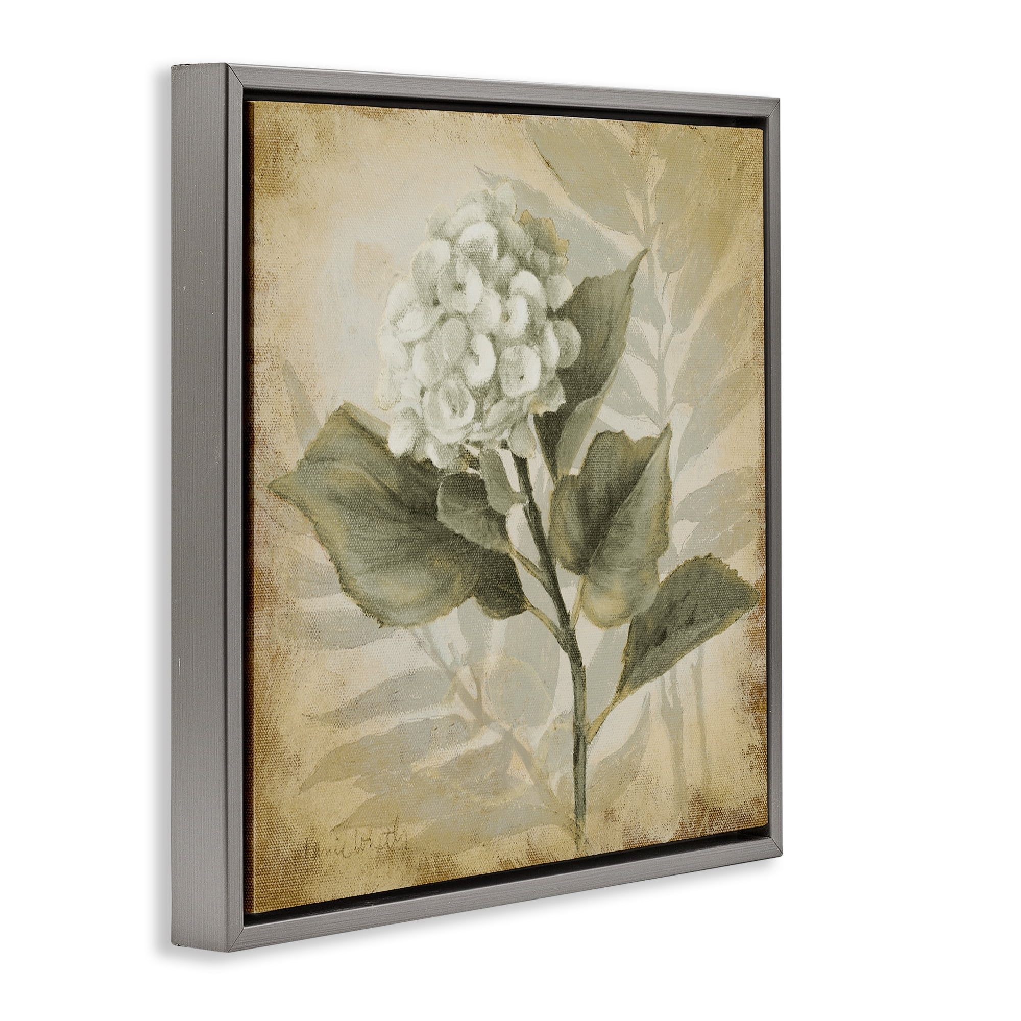 Stupell Industries Aubergine Hydrangea Impression Plants & Flowers Painting Gray Floater Framed Canvas Art Print Wall Art, 18 x 18