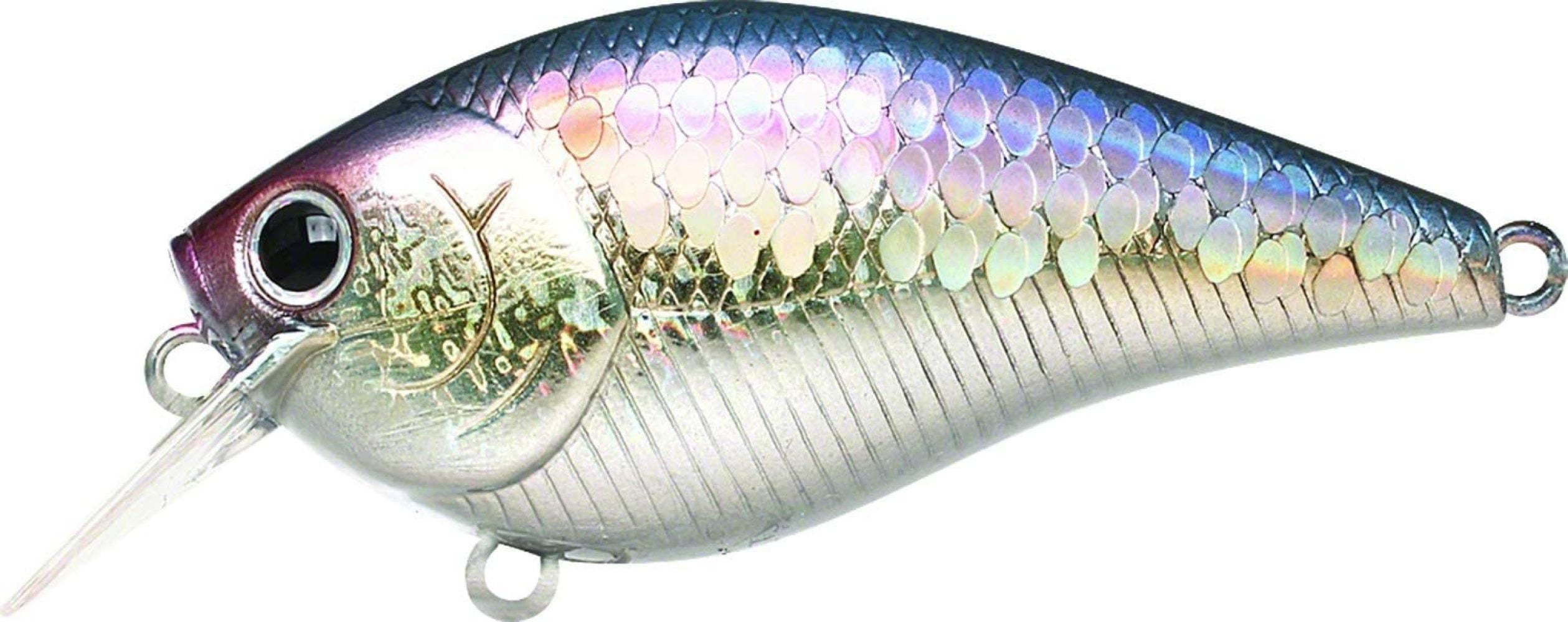 LUCKY CRAFT Area's 1/8-270 MS American Shad 