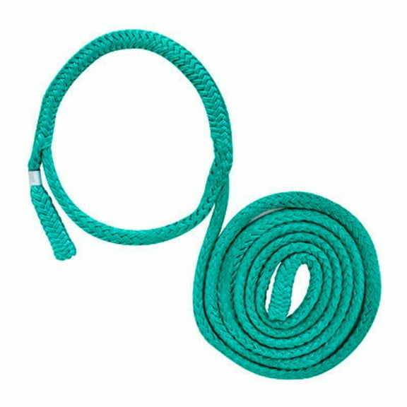 Rope Logic 3/4 in. Tenex-Tec Loopie Sling adjusts 2-8 ft. (31167)