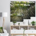 thumbnail image 5 of Design Art - Bamboo forest of Kyoto Japan., 5 of 5