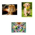 thumbnail image 2 of 5D León perro mariposa resina diamante pintura Animal taladro bordado costura DIY decoración interior punto de cruz kenally JJ13348-01, 2 of 6