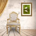 thumbnail image 3 of Friel, Bernard 18x24 Gold Ornate Wood Framed with Double Matting Museum Art Print Titled - USA-Florida-Sarasota-Myakka River State Park-Wading Bird-Feeding-White Ibis, 3 of 4