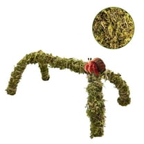 Trianu Hermit Crab Climbing Toys, 12inch Ideal Hermit Crab Habitat Tank Accessories, Adjustable Hermit Crab Supplies