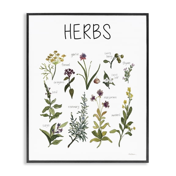 Stupell Industries Herbs Identification Chart Black Framed Giclee Art, design by Carol Robinson