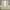 Golden Yellow/Gray, variant on DriftAway 2 Piece Floral Room Darkening Curtains 84"L x 52"W Golden Golden Yellow/Gray