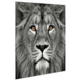 thumbnail image 3 of Empire Art Direct King of the Jungle Lion & Eye of the Tiger Frameless Free Floating Tempered Glass Panel Graphic Wall Art, 38" x 38" each, Ready to Hang, 3 of 7