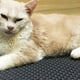thumbnail image 2 of Greeniant Caja de arena para gatos de doble capa, alfombrilla para trampero, alfombrilla plegable para mascotas, goma espuma EVA Perchas para gatos gris METRO, 2 of 6