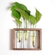 thumbnail image 2 of Jarrones de tubo de vidrio Tubo de ensayo de cristal Soporte de madera Macetas para plantas hidropónicas Pequeña, 2 of 7