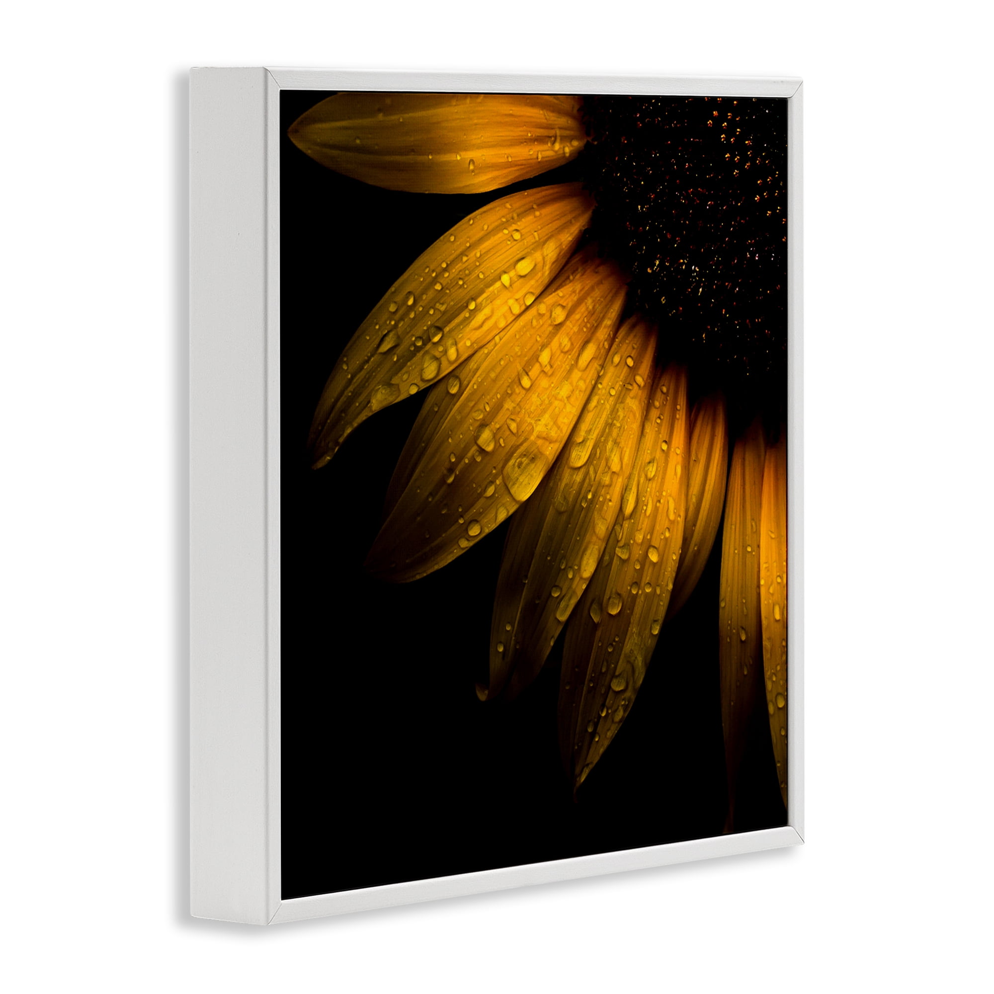 Sunflower Detail with Droplets White Framed Giclee Art, design by Brian Carson Photography