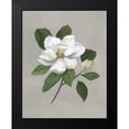 thumbnail image 2 of Nan 12x14 Black Modern Framed Museum Art Print Titled - Botanical Magnolia, 2 of 5