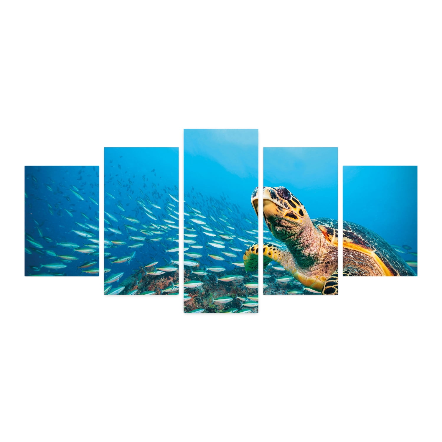Animal 5 Panels Acrylic Glass Wall Art, Underwater Photo of Fish Flock